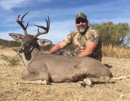 wta_1636_7CVKEJ_deer2