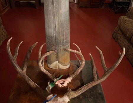 wta_1636_wta_726_IMG_6886_1-scaled