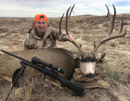 wta_1638_38CQQW_muledeer3