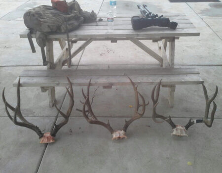 wta_1639_5YPVGQ_photo04