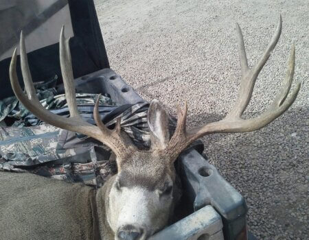 wta_1639_RQWBQP_photo01