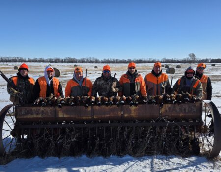 wta_1640_Pheasant Morning