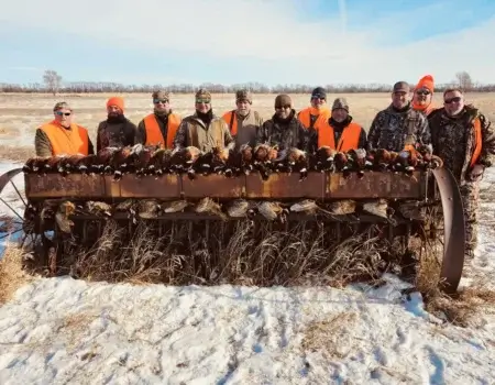 wta_1640_Snow Pheasants