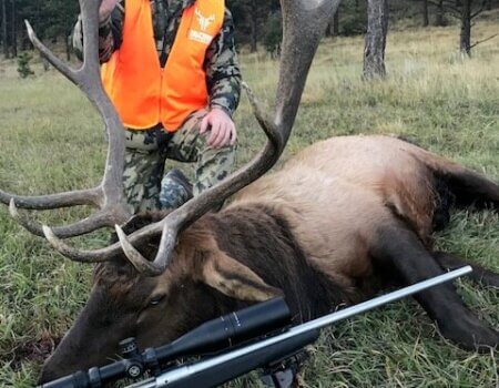 wta_1646_JRIHN5_IMG_2845