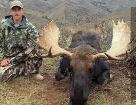 wta_1647_AL8H36_Moose3