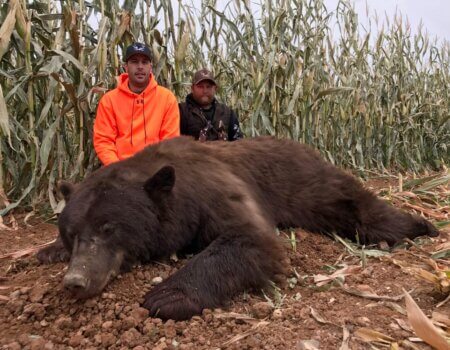 wta_1657__featured_0ANFM9_TyUnit61BearNL