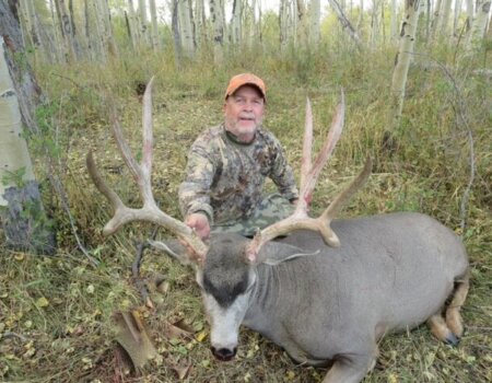 wta_1660_C8DZ3G_deer6crop