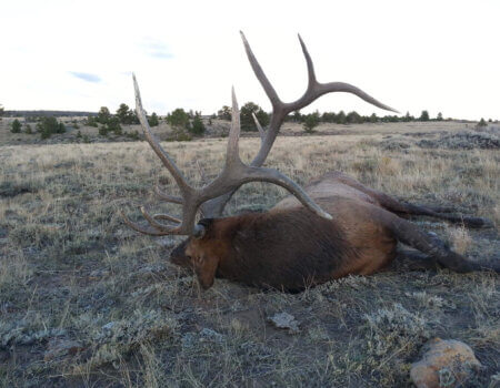 wta_1666_B0LFME_20161001_182644