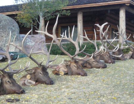 wta_1666_H2HL4K_DSCN0304