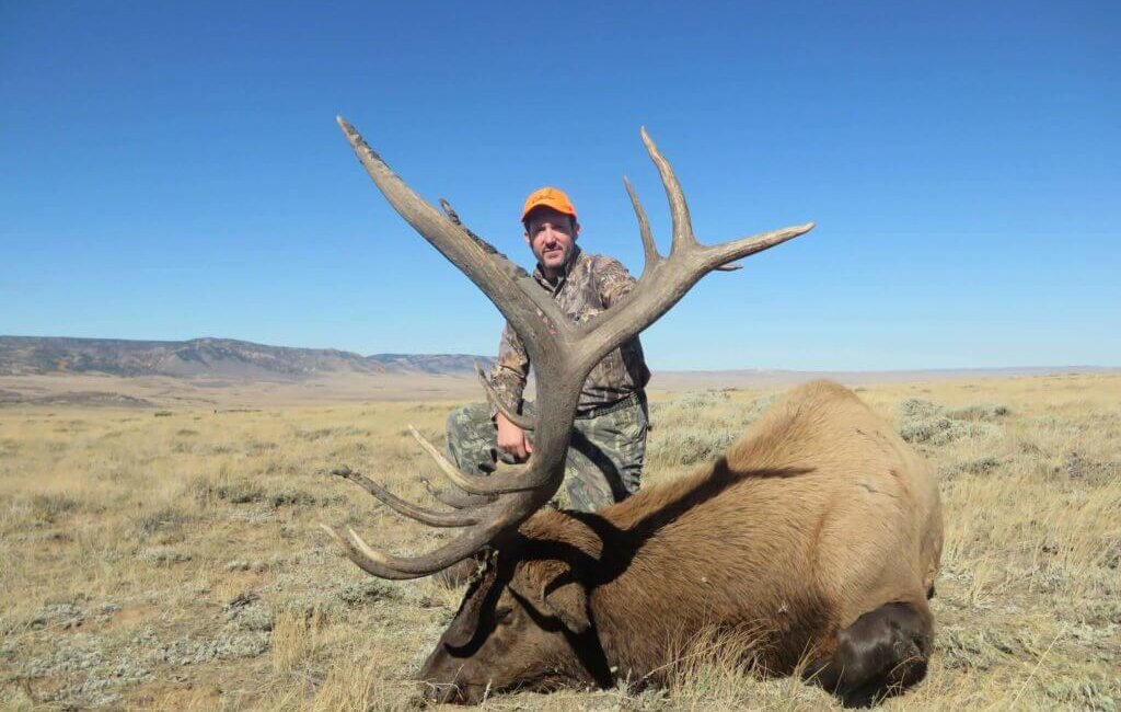 Elk Hunts for 2020 in Wyoming