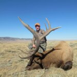Elk Hunts for 2020 in Wyoming