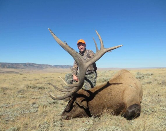 Elk Hunts for 2020 in Wyoming