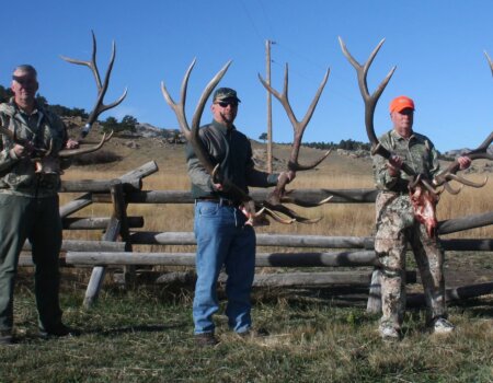 wta_1667_D2YS6D_115b