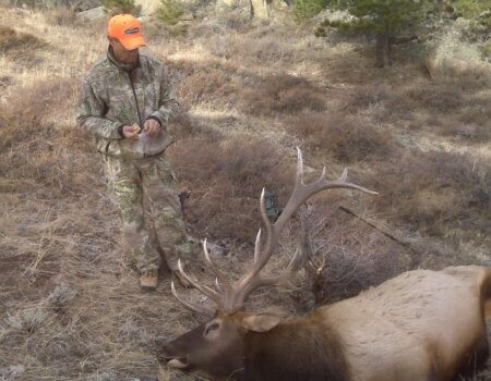 wta_1667_DH4N25_billwyelk