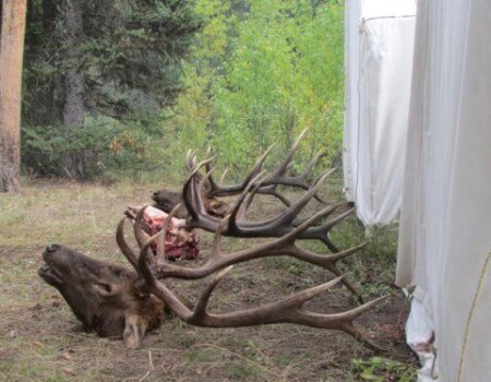 wta_1670_1GBKMU_IMG_4242