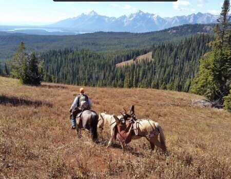 wta_1670_BPYW1M_IMG_4239