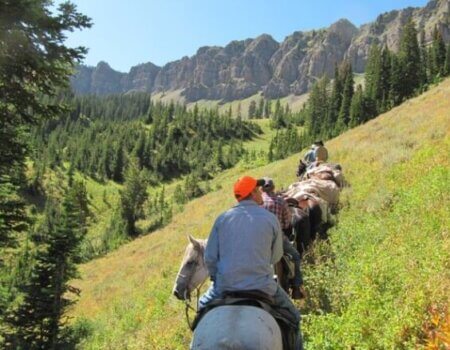 wta_1670_FMYSN6_IMG_4335