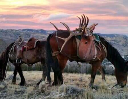 wta_1670_U7GVS6_IMG_9215