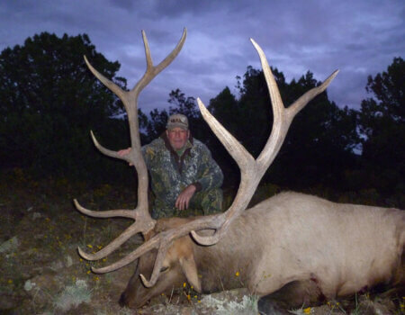 wta_1688_E56XRA_2011Roearlybull029