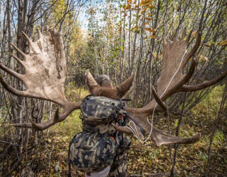 wta_1690_2017.09.16.151910.Yukon-72882