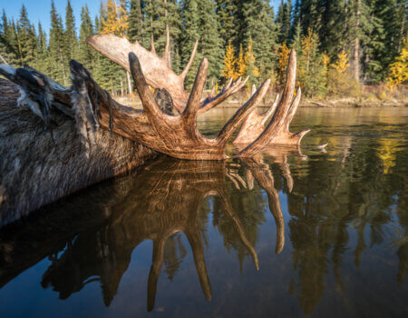 wta_1690_2017.09.18.091401.Yukon-73365