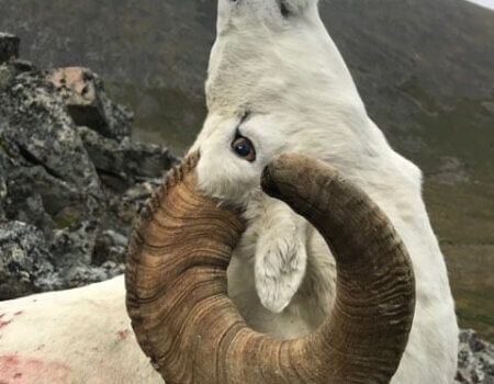 wta_1692_1I0QCC_Hunt18