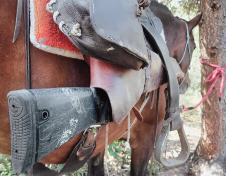 wta_1692_20230805_135232-Recovered