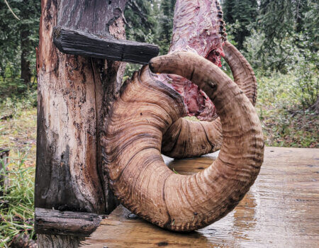 wta_1692_20230808_120724-Recovered