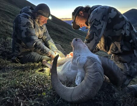 wta_1692_Photo Aug 06 2023, 11 42 06 PM