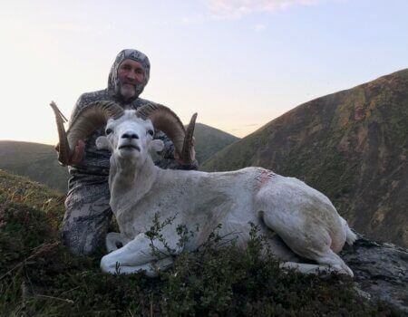 wta_1692_Sheep Yukon Peak 1