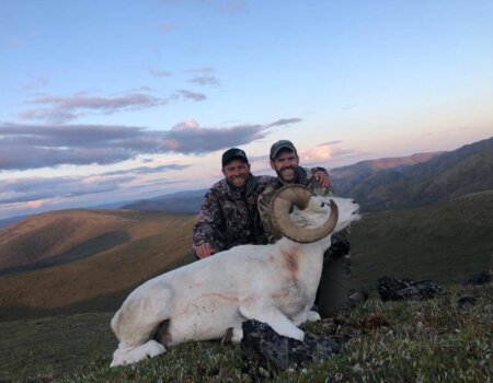 wta_1692_Sheep Yukon Peak