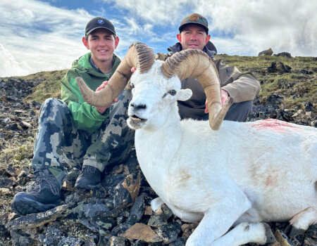 wta_1692_YPO Sheep 1 (1)