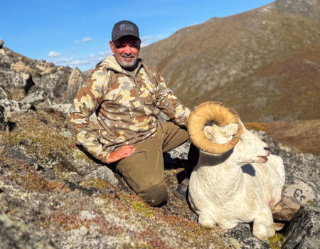 wta_1692_YPO Sheep 4 (1)