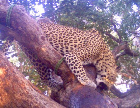 wta_1709_4G7K7L_I__00750copy