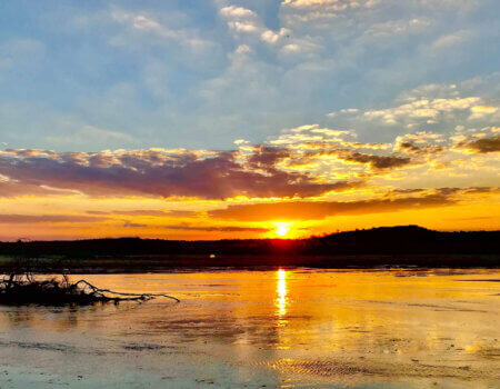 wta_1709_AY0ZPM_8copy