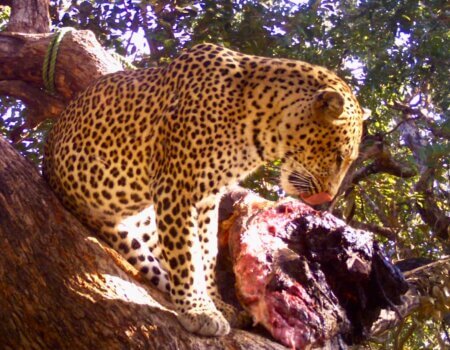 wta_1709_DLHPBL_3copy