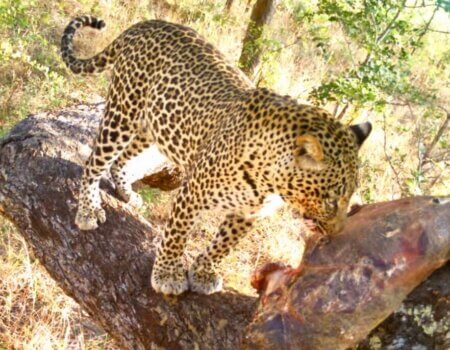 wta_1709_P55QQN_c6771a67-9745-48da-a75b-db06d4407f3ccopy