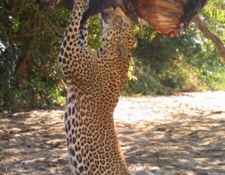 wta_1709_P93ION_7b65cb58-88c9-40e7-9ef2-cbb0fb96ce52copy