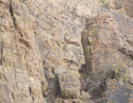 wta_1710_8H6QT0_IMG_0414(2)