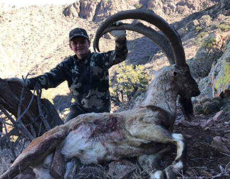 wta_1710_9JC7KB_IMG_4742