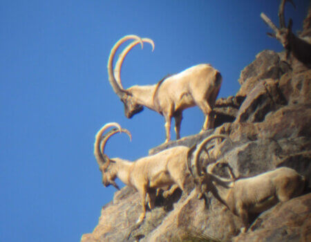 wta_1710_AE0YD7_IMG_0383