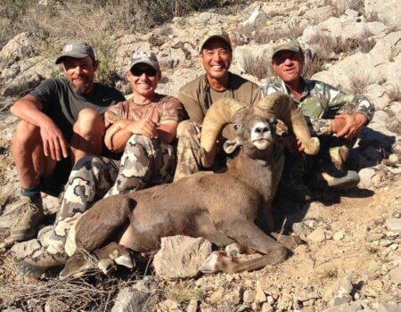 wta_1715_0AQUDI_IMG951919