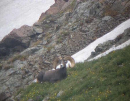 wta_1715_0CGEFC_wheelerrs208