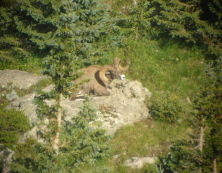 wta_1715_2C65JP_wheelerrs08