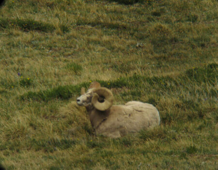 wta_1715_EWXZ8Y_Wheeler08