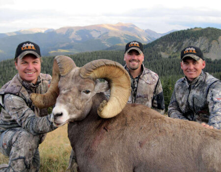 wta_1715_FIWIML_IMG_0590