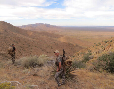 wta_1715_VZG1YG_IMG_0054