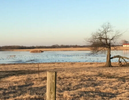 wta_1716_2U8J9P_IMG_0931