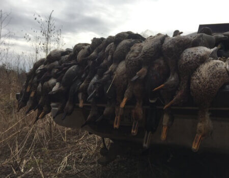 wta_1716_9UYDSP_IMG_8250