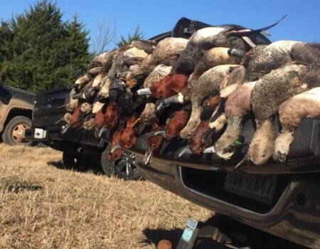 wta_1716_A89DAX_IMG_7311